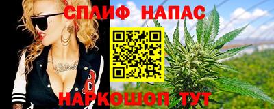 МДПВ Славгород