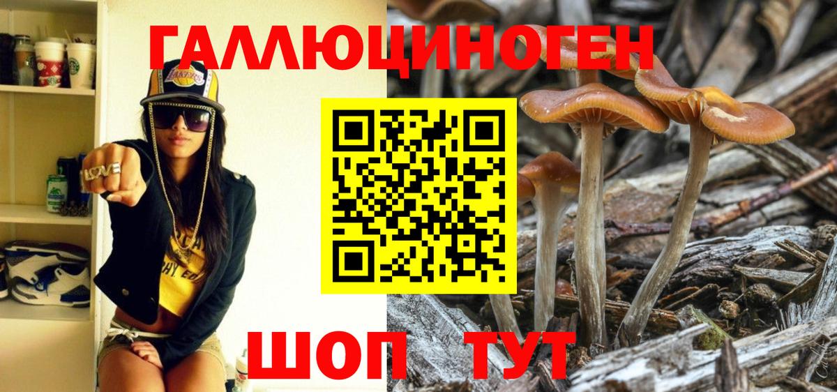 Ростов Великий  Псилоцибиновые грибы GOLDEN TEACHER  Вход с VPN 