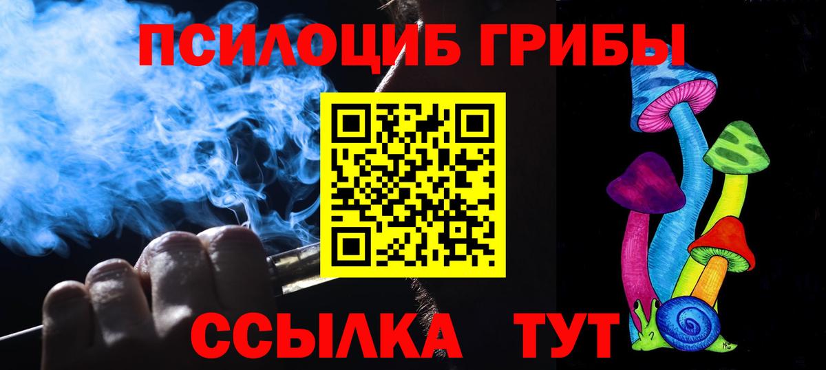 Псилоцибиновые грибы Psilocybine cubensis Ростов Великий